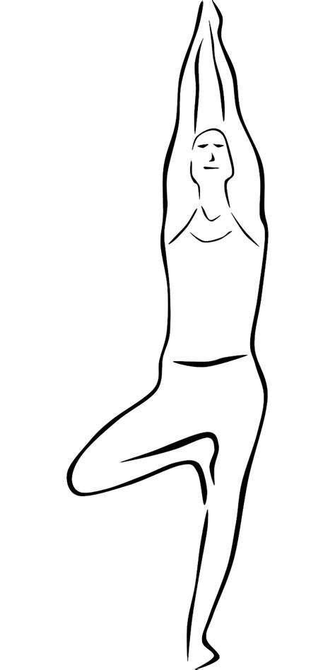 Yoga Pose De Darbre Images Vectorielles Gratuites Sur Pixabay Pixabay