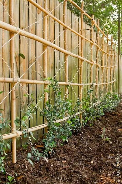 Cut, dried bamboo works well if you are making furniture, doing craft projects, or need stakes or trellises for the garden. DIY Bamboo trellis | From the Garden | Pinterest | Bamboo ...