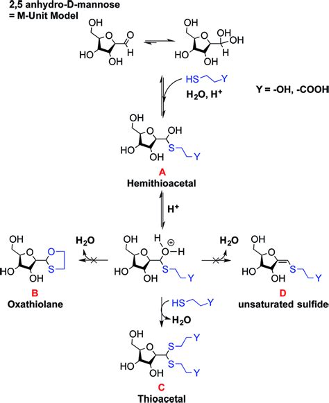 Schematic Representation Of Potential Reactions Occurring During