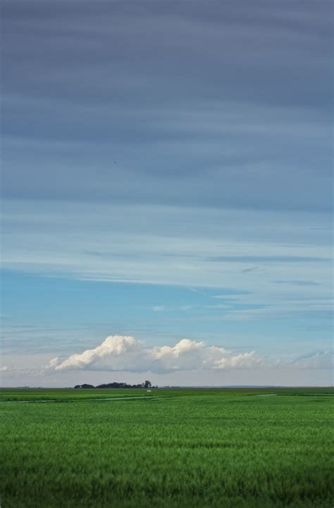 Free Images Landscape Horizon Cloud Sky Farm Meadow Countryside