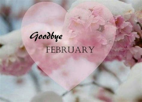 Good bye February | February hearts, Hello february quotes 