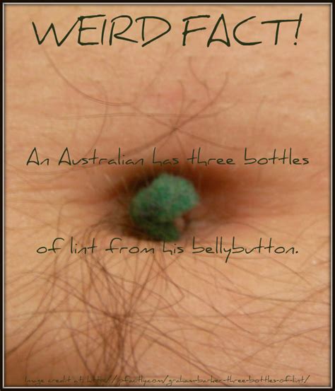 An Australian Has Three Bottles Of Lint From His Bellybutton Fun Facts You Need To Know