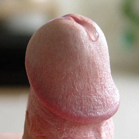 The Beauty Of A Mans Erect Penis Pics Xhamster