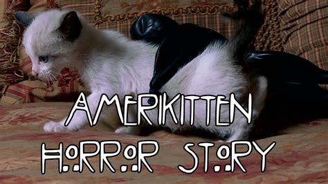 American Horror Story Cute Kitten Version Youtube