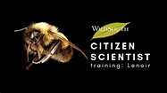 Lenoir Citizen Science Training » Wild South