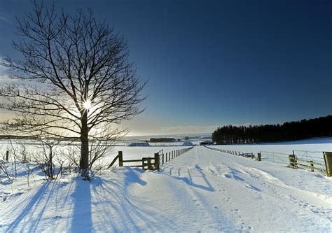 Sunny Winter Landscape In Northumberland By By Simon Gakhar