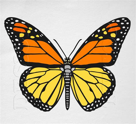 Monarch Butterfly Svg Download Monarch Butterfly Svg For Free 2019