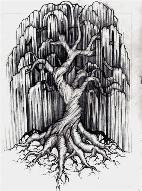 Weeping Willow Sketch At Explore