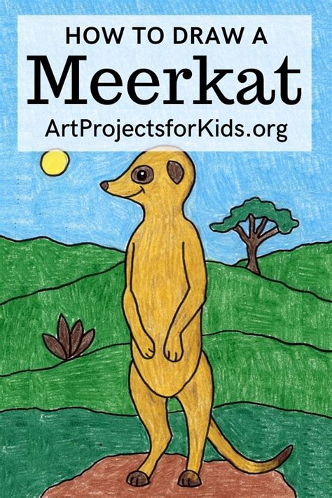 How To Draw A Meerkat · Art Projects For Kids
