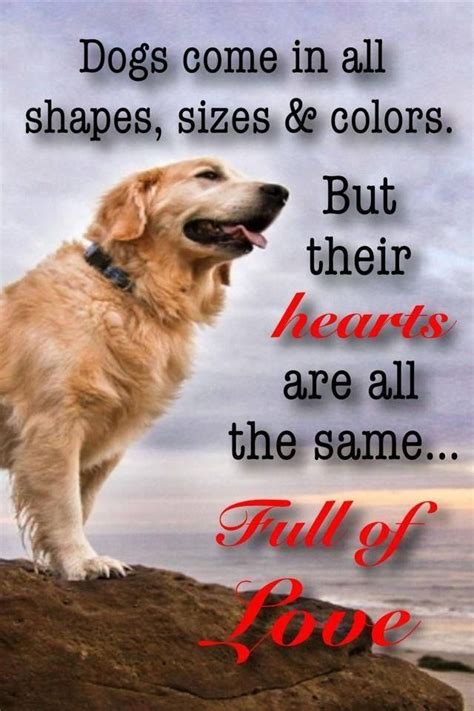 Unconditional Love Dog Quotes Dogs Dog Love
