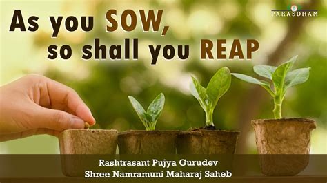 Reap What You Sow Paulo Coelho Quote Life Is Like A Garden You