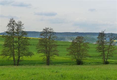 Germany Rundwanderung Von Hahnst Tten Im Taunus Flickr