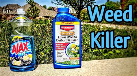 The Best Weed Killer For The Lawn Diy Lawn Care Tips Youtube