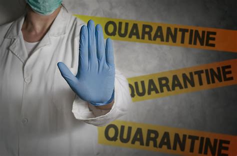 What Does Self Quarantine Mean Uthealth News Uthealth