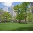 Open Lawns  Madison Square Park Conservancy