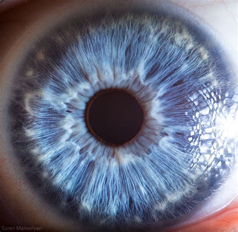 'Your Beautiful Eyes' - Amazing Close-Up Photos Of Human Eyes By Suren ...