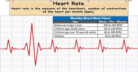Normal Resting Heart Rate Resting Heart Rate Determine Your Fitness