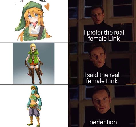 The Hottest Link Is The Actual Link Zelda Amino
