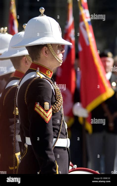 Royal Marine On Ceremonial Duty Profile View Stock Photo Alamy