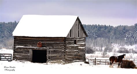 Old Log Barn With Horse In West Carleton Ontario House Styles Barn