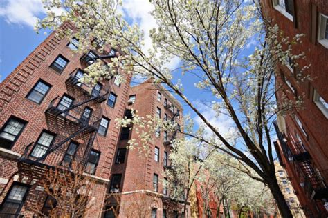 Section 8 Voucher Apartments In New York City Elika Insider