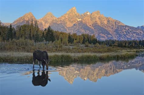 Best Things To Do In Grand Teton National Park Lonely Planet