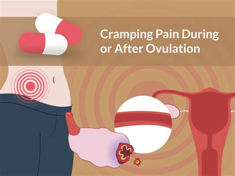 Cramping Pain During Or After Ovulation Are You Pregnant