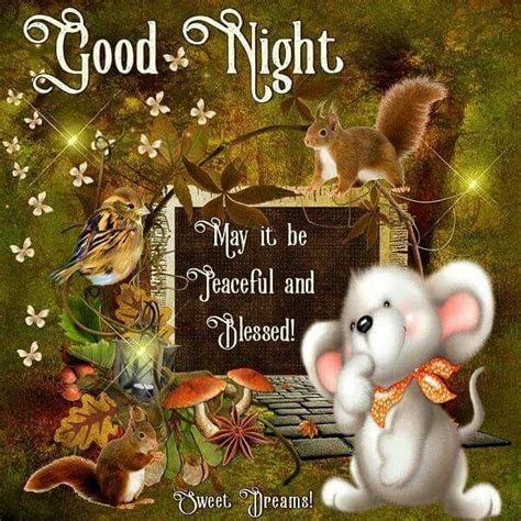 Nighty Night Good Night Blessings Good Night Wishes Good Evening