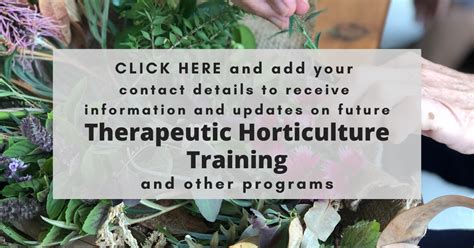 Therapeutic Horticulture Training Soil To Supper