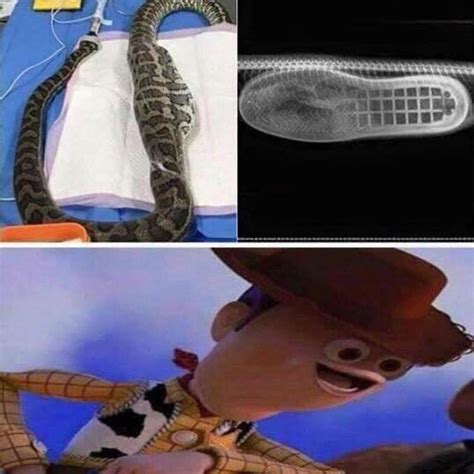 Theres A Boot In My Snake Funny