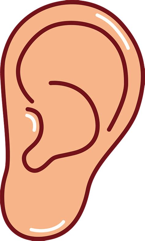 Ears Clipart Png