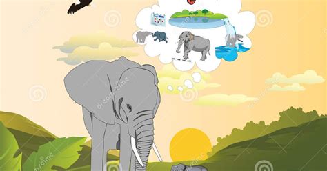 Qual O Significado Da Expressão Memória De Elefante