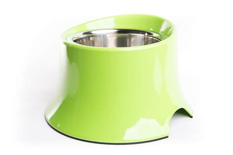Large Elevated Dog Bowl Dog Bowls And Fountains Bowls Pet Shop