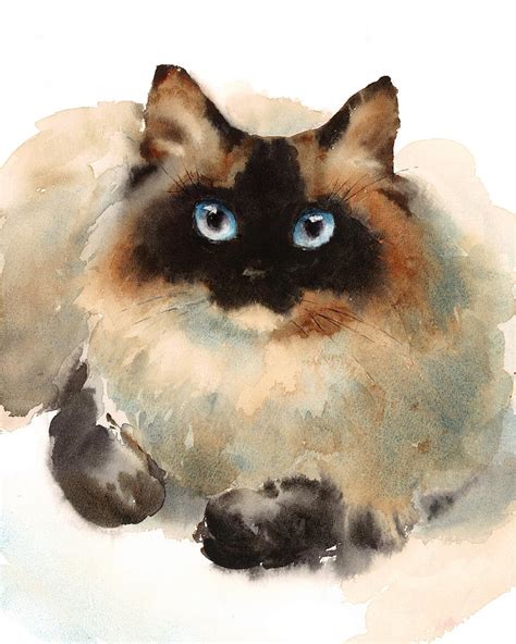 Ragdoll Cat Painting By Maria Stezhko Pixels