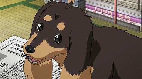Update 80 Cute Anime Dog Super Hot Incdgdbentre