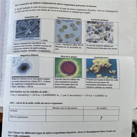 2 Classer Les Différents Types De Micro Organismes Bactérie Virus Et