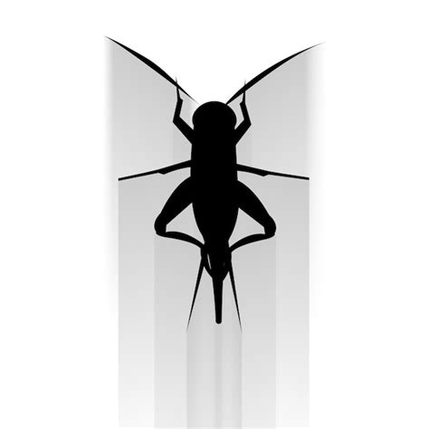Premium Vector Insect Flat Icon Vector