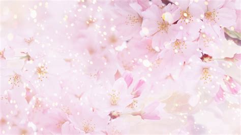 Background atau dalam bahasa indonesia, latar belakang — merupakan salah satu faktor krusial dari bidang desain grafis. Gambar Wallpaper Cantik Bunga Sakura | Stok Wallpaper