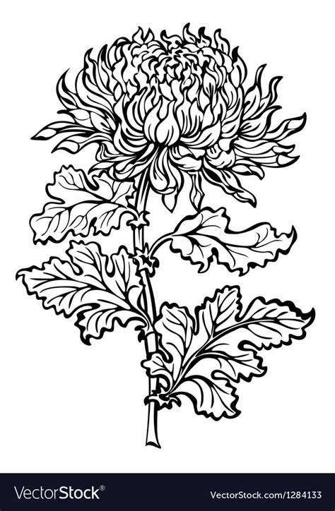 A Drawing Of A Large Flower With Leaves On The Stem Vintage Line