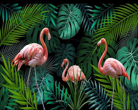 Flamingo Laptop Wallpapers Top Free Flamingo Laptop Backgrounds
