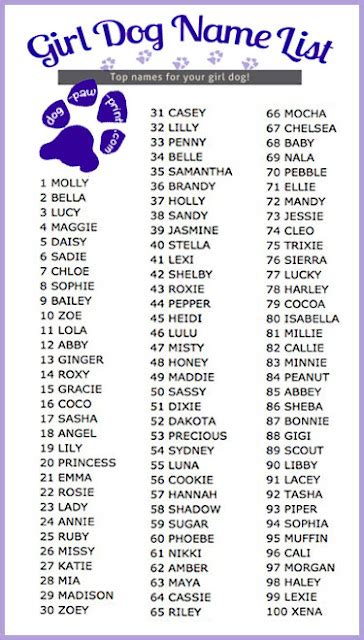 e-Onomastics: Top 10 Trendiest Dog Names of the Year