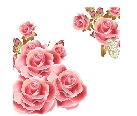 Flower Rose Pink Clip Art Vector Rose Background Png Download 4272