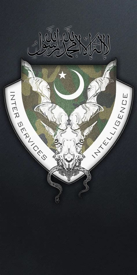 Pakistan Isi Logo