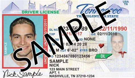Tenn Sending New Driver Licenses Ids To Some Residents After Misprint