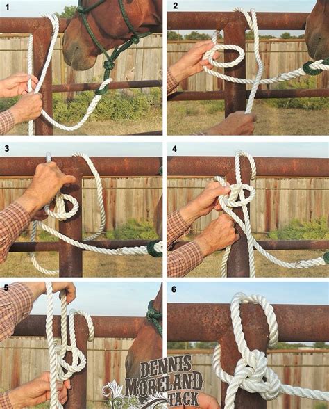 Bowline Knot Reining Horses Horse Riding Tips Horse Care