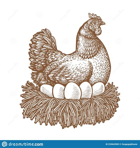 Hen Incubates Eggs Symbol Chicken Logo Vector