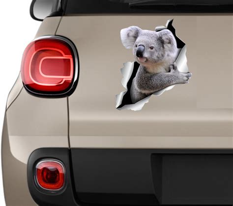 Car Sticker Koala Car Decal Animals Sticker Koala Decal Koala Etsy