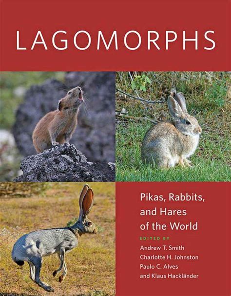 Lagomorphs Pikas Rabbits And Hares Of The World Pdf
