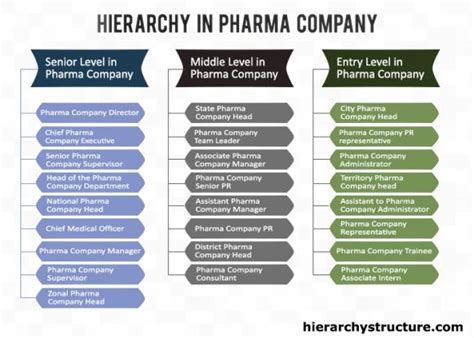 Hierarchy In Pharma Company Company Structure Organizational Chart