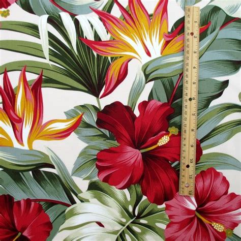 Tela Flores En Crema Hawaii Tropical Flor De Ave Del Growing Hibiscus